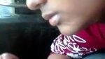 Cute young sucker