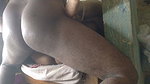 Horny Stepmom Fucked Hard by Stepson in the Kitchen Taboo Creampie