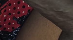 Bedtime Before a Small Blowjob Fun