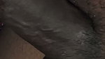 Bedtime Before a Small Blowjob Fun