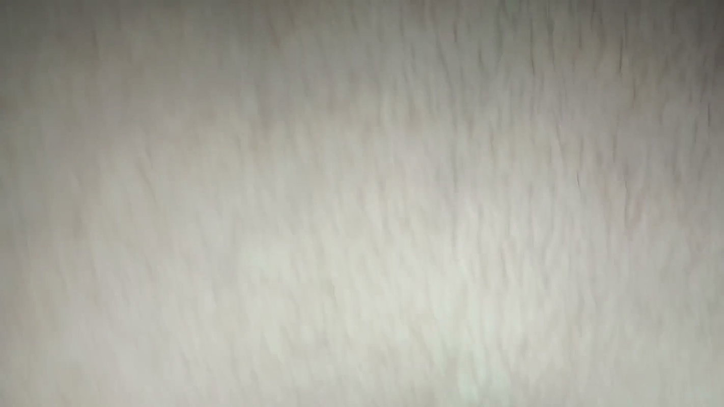 Dressed sister-in-law’s with a long penis