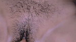 He put his hand in the pussy and inserted the cucumber, the pussy and ass exploded