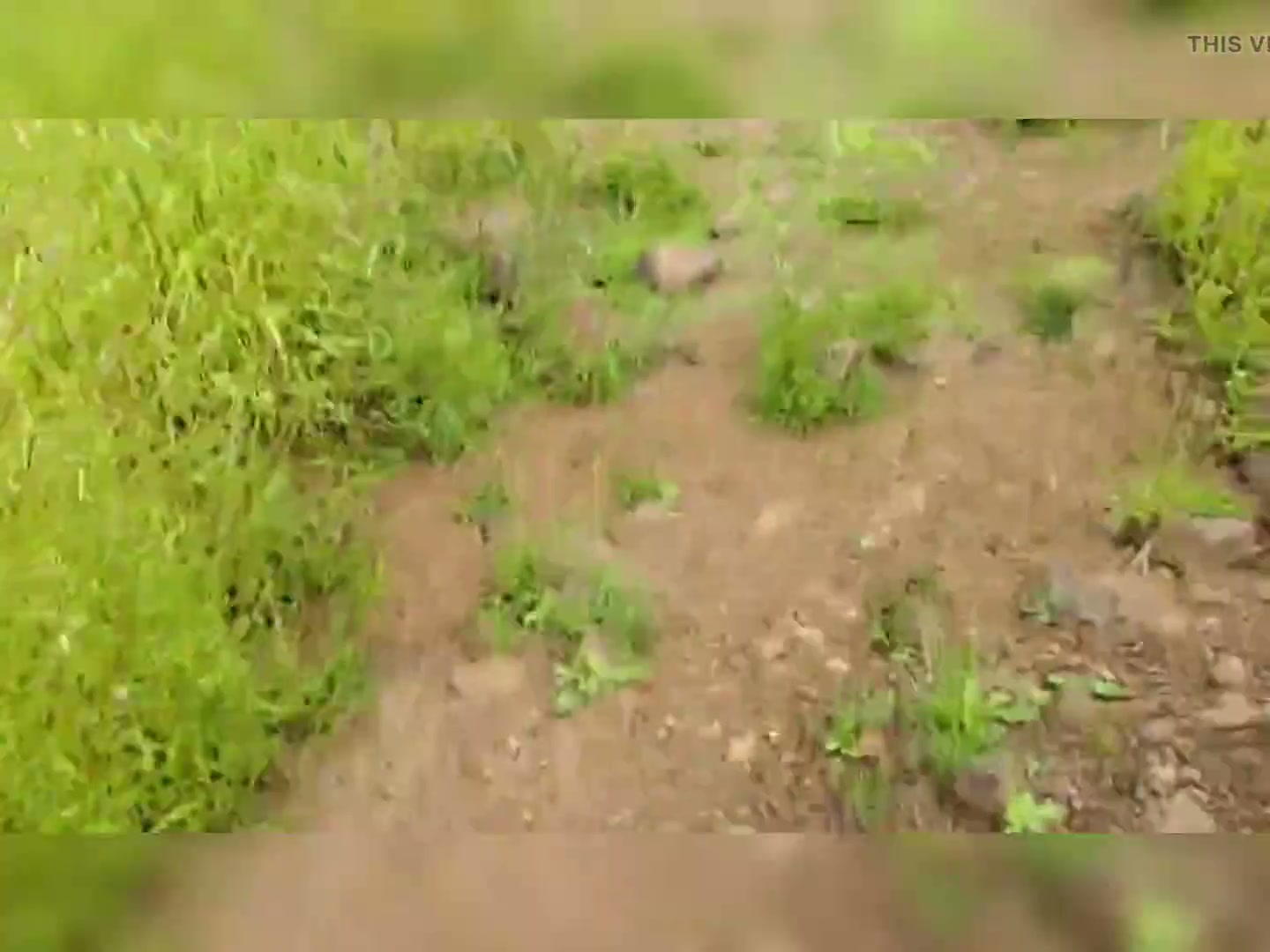 Frame 4