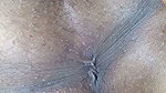 Bangla big ass fucked with oil in pussy hole