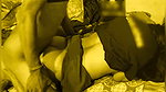 Seductive Bhabi riding debor Cock Before Getting Lifted And Pounded For An pussy Orgasm