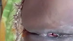 Vabir satha sex kotlom