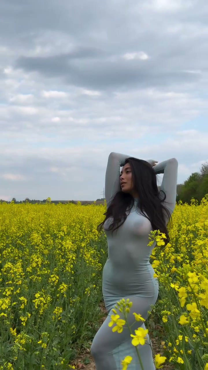 Frame 7