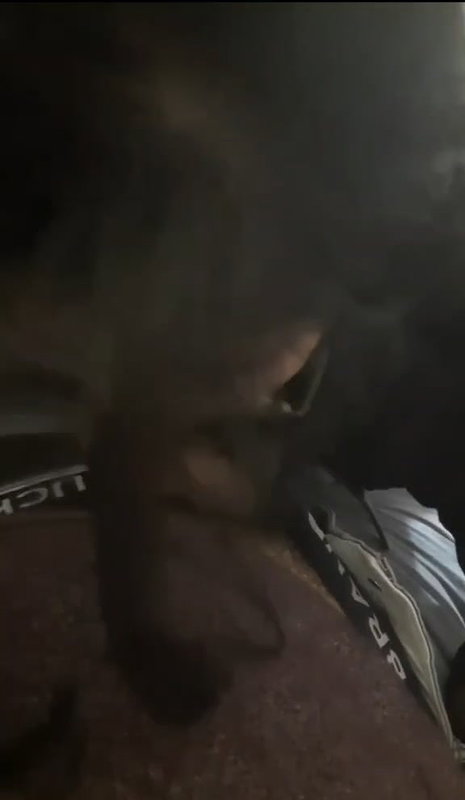 Chubby Gf Hot Boobs Press Sucking Lover Dick Fingering Pussy Sexy Big Ass 2 14