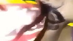 Horny Girl Showing Hot Boobs Give Deepthroat Blowjob Pussy Fingering Fucked 2 15