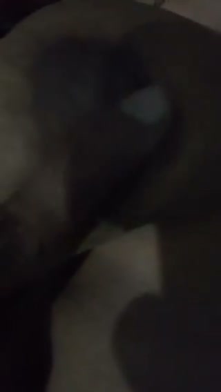 Frame 1