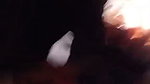 God__7_1