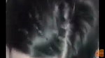 HIJABI GIRL GIVING BLOWJOB HARD FUCKED 4 CLIPS 2 4
