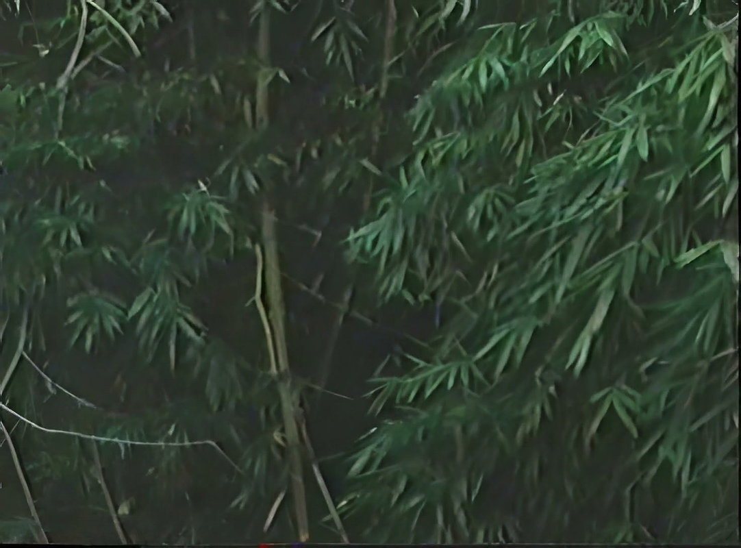 Almeda – Syota NG Bayan 2001 2