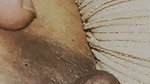 Desi Bhabhi Very Romantic and Hot Village Bhabhi