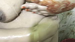Desi Husband Wife Romance in Bathroom