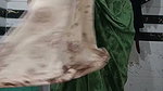 Priya Bhabi Big Pusssy Hair Show
