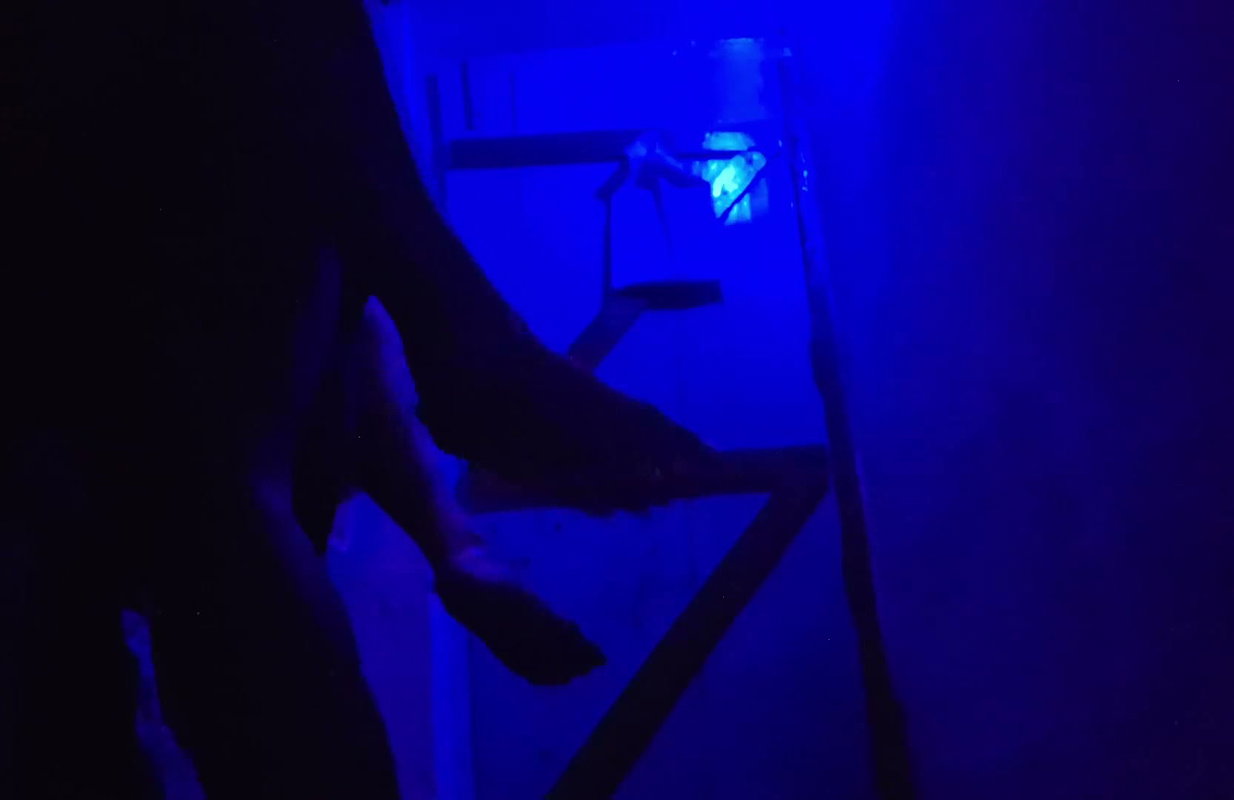 Sex XXX Video Desi Girls