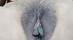 Suruti stripchat ticket show