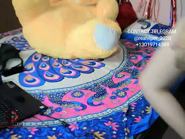 1 stripchat ticket show