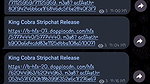 70422 httpst.me+BJMcyEDQvYdkOTZl stripchat ticket show