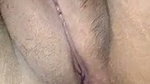 Cpl 2 stripchat ticket show