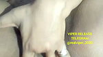 143 1 stripchat ticket show