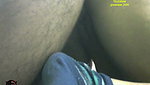 Rajput stripchat ticket show