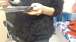 stripchat model ticket show- 181