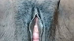 stripchat model ticket show- 27