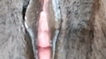 stripchat model ticket show- 27