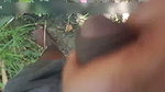 Indian tamil bhabhi sex in outdoor banana grove