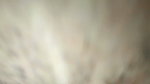Tinny Neha my love cumshot on small nice pussy