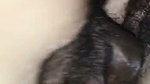 TROROSE DESI INDIAN BHABHI FUCKED BY NEIGHBOR WITH HIS BIG BLACK COCK