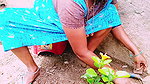 Villege Forming Maid Fucking Land Owner. Telugu Dirty Talks