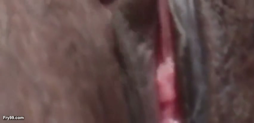 Frame 1