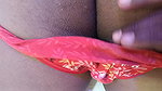 Hot Cow Girl Housewife