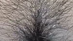 Indian Wife Fucking Hard in Room and Kiss in Her Pussy