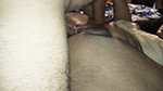 My Curvy Wife on Top Then Destroyed in Doggy & Missionary Amateur Couple Sultanbegumx
