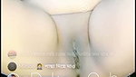 new tango collection- 11