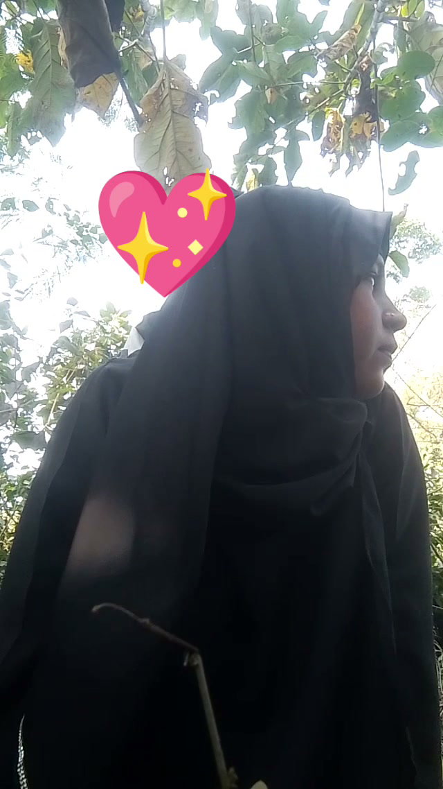 Frame 10