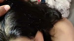 friend gf Shazia 8