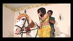 pk mujra 11