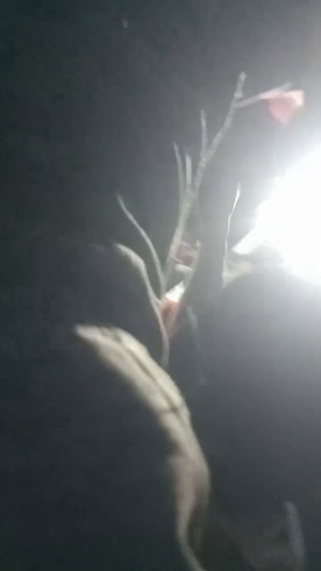 insta nudel clip 1