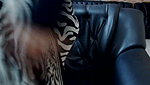 model stripchat collection – 416