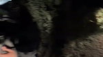 Outdoor stripchat ticket show