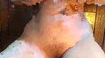 her Connection is bed stripchat ticket show
