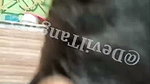 Anushkha_shi stripchat ticket show