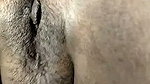 Birds 13 Aug Threesome Anal stripchat ticket show