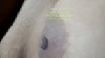 19 March stripchat ticket show