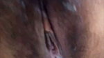 model stripchat ticket show 25
